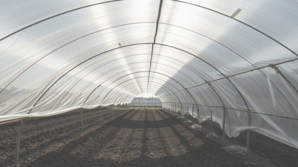 Jak używać preparatów cieniujących do tunelu foliowego?